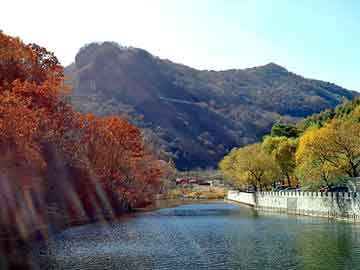 新澳天天开奖资料大全旅游团，卷帘门电机多少钱